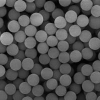 Streptavidin 化学发光磁珠 链霉亲和素磁珠2.8
