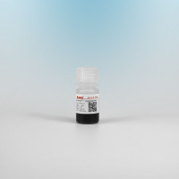 化学发光磁珠 链霉亲和素磁珠300nm Streptavid