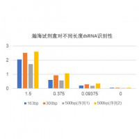 双链RNA（dsRNA）定量检测试剂盒