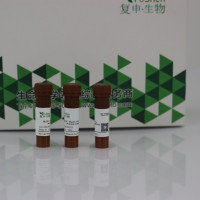 TRITC Phalloidin 罗丹明标记鬼笔环肽