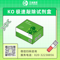 二代CRISPR KO 极速敲除试剂盒 （CRISPR RN