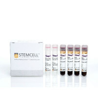 EasySep™ Direct HLA交叉配型T细胞分选试剂