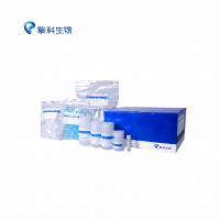 RNAprep FastPure动物组织/细胞总RNA提取试