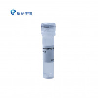 TSnanofect V2 transfection Rea