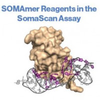 SomaScan Assay 新一代高通量多重蛋白组学研究平