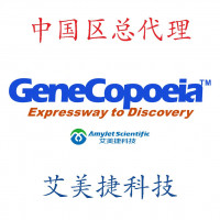 多合一miRNA qRT-PCR检测试剂盒2.0/多合一mi