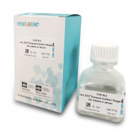 外泌体（Exosome）抽提试剂