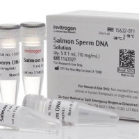UltraPure™ Salmon Sperm DNA So