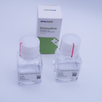 慢病毒浓缩液 Lentivirus Concentratio