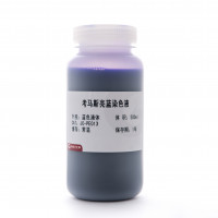 Genshare CFAS考马斯亮蓝蛋白胶染色液