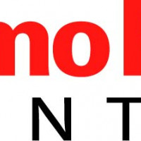 CpG甲基化基因组DNA