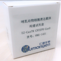 EZ-CasTM CRISPR-Cas9哺乳动物细胞表达载体