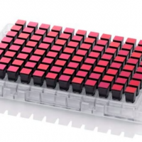 Thermofisher Applied Biosystem