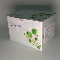 TRIzol 总 RNA 提取试剂