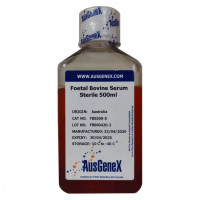 AusGeneX胎牛血清FBS Premium和新生牛血清N