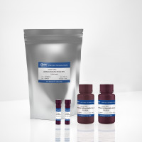 KeyTec® Ultra Luciferase Detec