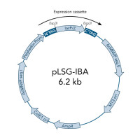 StarGate® Acceptor Vector pLSG