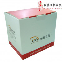 免疫印迹化学发光试剂（ECLReagent）