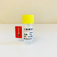大观霉素-BSA(OVA）偶联抗原；大观霉素偶联抗原；大观霉