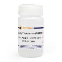 SignalUp™ Western一抗稀释液