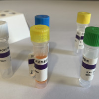 偏肺病毒(hMPV)核酸检测试剂盒(PCR-荧光探针法)