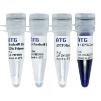 ATG® Blood Direct PCR Kit 全血直扩