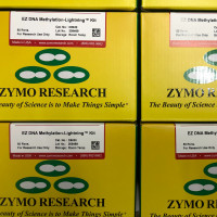 现货Zymo Research货号D5030上海睿安生物EZ