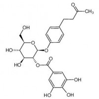 异莲花掌苷（Isolindleyin）