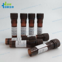 荧光原位杂交探针（易位探针) ABLIM1-PTCD2 Fu