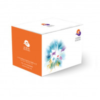 增强型慢病毒包装试剂盒Lentiviral Packagin