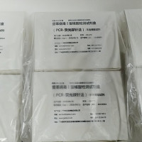 疾控适用登革病毒Ⅰ型PCR核酸检测试剂