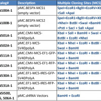 pMC.BESPX-MCS2