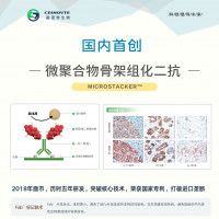 鼠兔通用免疫显色试剂盒CSK1003