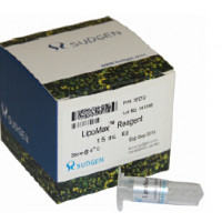 SUDGEN   LipoMax转染试剂超高效率DNA转染试