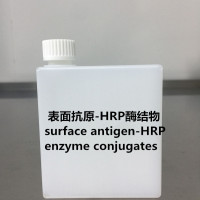 表面抗原－HRP酶结物