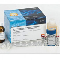 Dnase I,Grade II  100mg