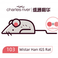 维通利华 Wistar Han大鼠 IGS SPF级