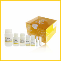 高效植物基因组DNA提取试剂盒 FlaPure Plant