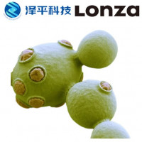 龙沙Lonza XS毕赤酵母蛋白表达系统 微生物酵母真核基因