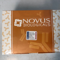 Human TNF-alpha Valukine ELISA