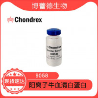 cBSA 阳离子牛血清白蛋白  肾炎模型 现货  cat#