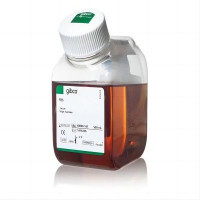 Gibco - 10099141C - Gibco™ 胎牛血