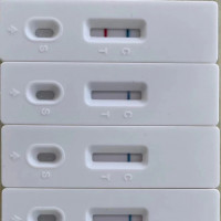 通用型单靶标核酸检测试纸条（乳胶法）