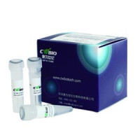 CWBIO® 克隆、转化、转染