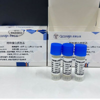 特种蛋白(尿液特殊蛋白)质控品-第三方质控品厂家-江苏质源生