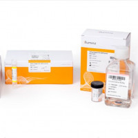因美纳 MS-102-2001 MiSeq Reagent