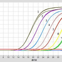5×Fast One-Step RNA Probe qPCR
