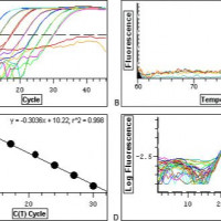 2×Hi SYBR Green qPCR Mix