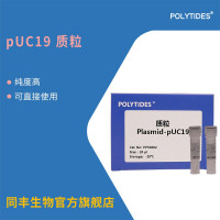 pUC19 质粒