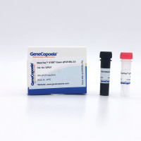 BlazeTaq  SYBR  Green qPCR mix